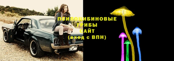 ГАЛЛЮЦИНОГЕННЫЕ ГРИБЫ Абдулино