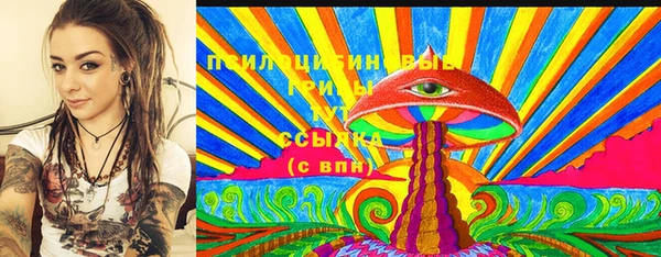 spice Алзамай